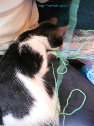 The cute cat says, I don't care about crochet, Mommy. I just want YARN!