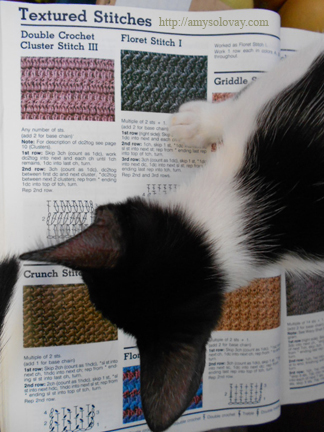 The Kitten Says, Mommy, this crochet book doesn't make any sense! My Response: Honey, you have the book upside down.