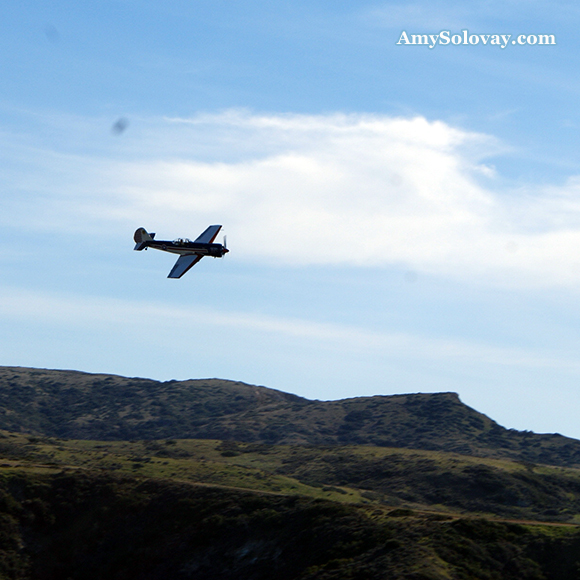 Airplane Flying Over Little Harbor on Catalina Island