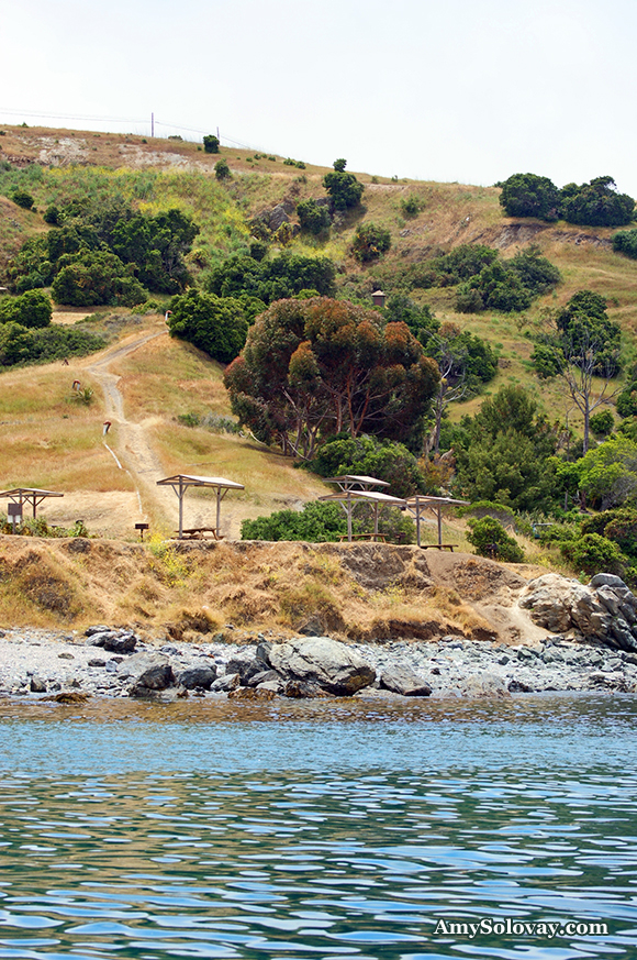 Here you can see one of your options for campgrounds in Two Harbors, California. This campground is right on the beach, with a view of Little Fisherman's Cove and Isthmus Cove. I took this picture from the deck of my boat, Typhoon, when she was anchored in Little Fisherman's Cove.