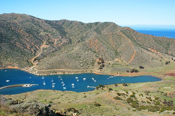 Catalina Harbor in Two Harbors, California