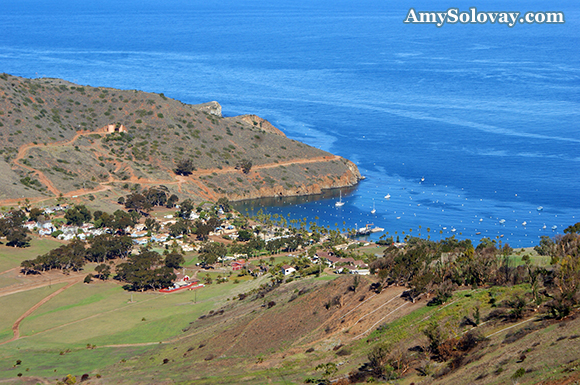 The Village of Two Harbors Overlooks Banning Harbor on the North Side of Catalina Island.