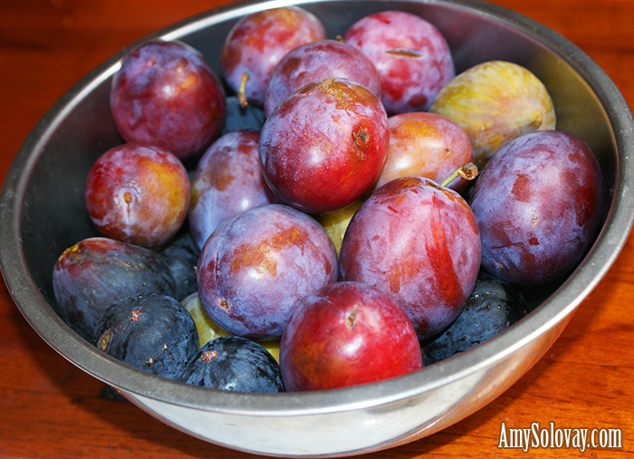 Plums and Figs From the Island of Sardinia in Italy