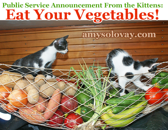 Cats are carnivores, but they do actually eat some vegetable matter.